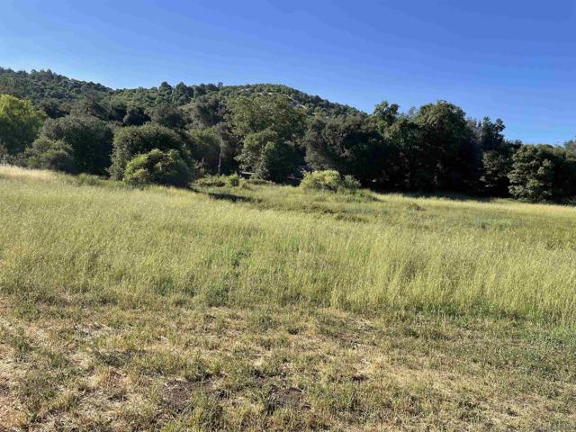5750 Forest Meadows, Julian CA: https://media.crmls.org/mediaz/df81fa41-cf93-48b4-8d52-f355211a932c.jpg