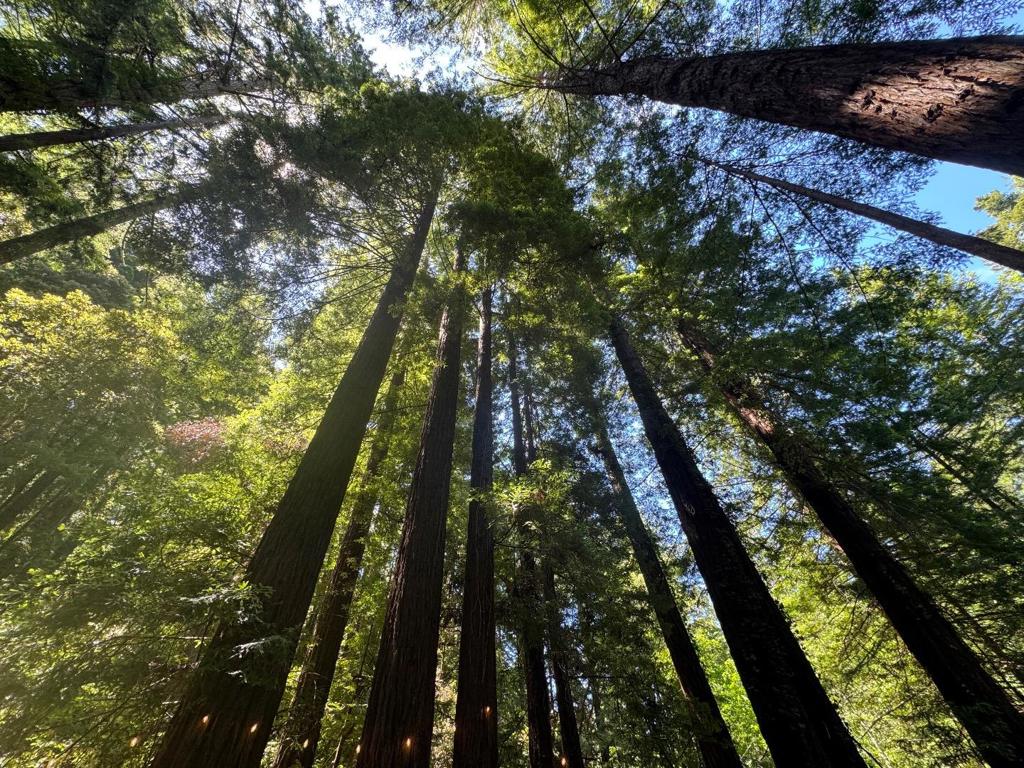 https://media.crmls.org/mediaz/df8dc226-9479-4b8e-a1fa-cb76f554a1f3.jpg?preset=X-Large