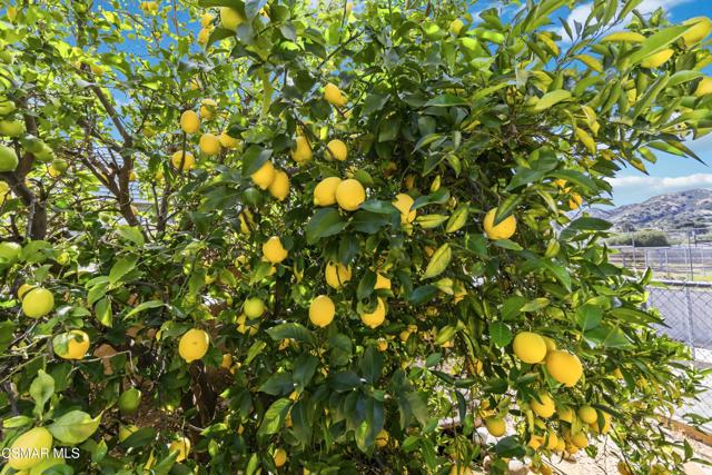 5506 Aurelia Street, Simi Valley CA: https://media.crmls.org/mediaz/df902ca6-db40-4b39-8901-a6e228bddf29.jpg