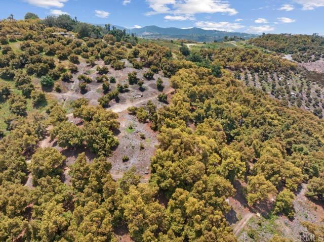 0 Avenida Mil Flores, Bonsall, California 92003, ,Residential Land,For Sale,Avenida Mil Flores,NDP2404555