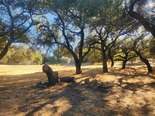 0 Highway 67, Ramona CA: https://media.crmls.org/mediaz/df930b24-f2ca-4fa1-9f0d-58a24c485124.jpg