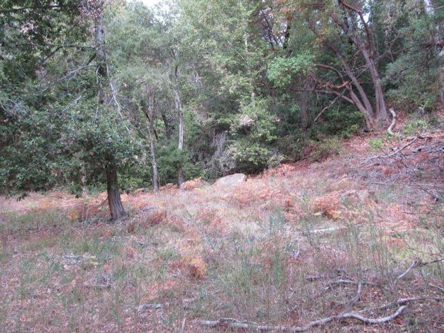 0 E Hilton, Boulder Creek CA: https://media.crmls.org/mediaz/df93dac7-f432-4e3a-814c-2876b84fda09.jpg