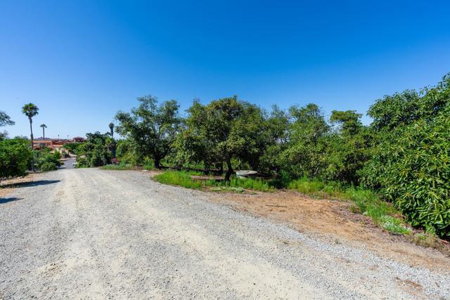 0 Wilt Road, Fallbrook CA: https://media.crmls.org/mediaz/df96db4d-9667-42fa-921e-53e70b2fa40b.jpg