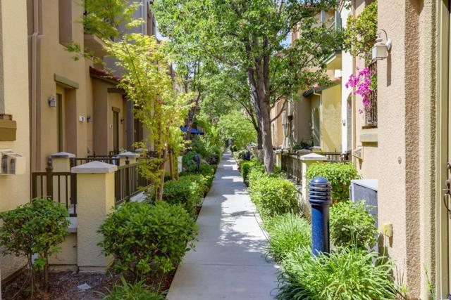 878 Luz Del Sol Loop, Milpitas CA: https://media.crmls.org/mediaz/df9a32a7-7c7a-4743-8fcb-5ea4a305a404.jpg