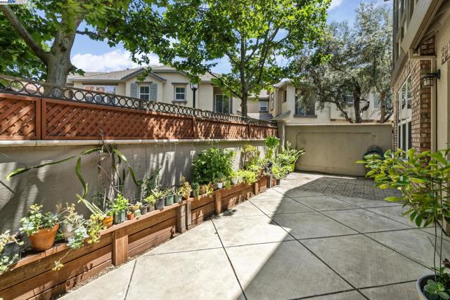 161 W Luna Loca Ln, Mountain House CA: https://media.crmls.org/mediaz/dfa18f08-e1b4-42e7-a354-0fe8197279a6.jpg