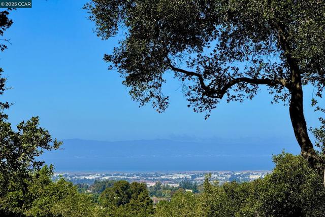 3981 Amyx Ct, Hayward CA: https://media.crmls.org/mediaz/dfabb5d8-efaf-4779-9823-cdff5b8d7ee3.jpg