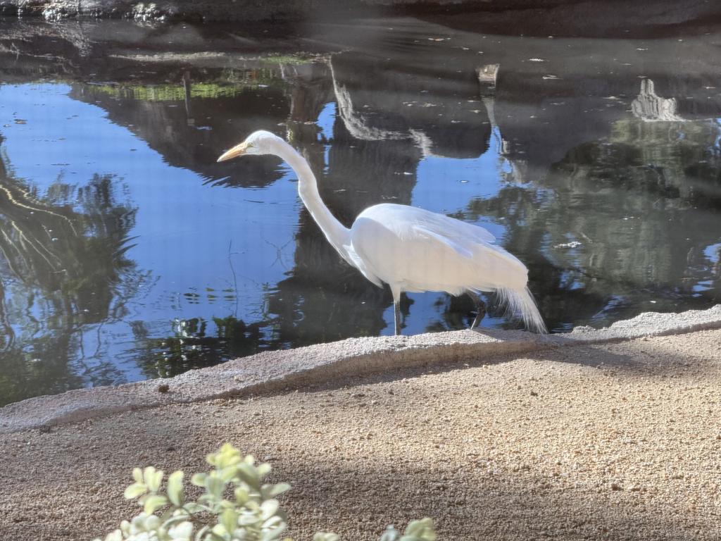 MLS #219137993DA image #26