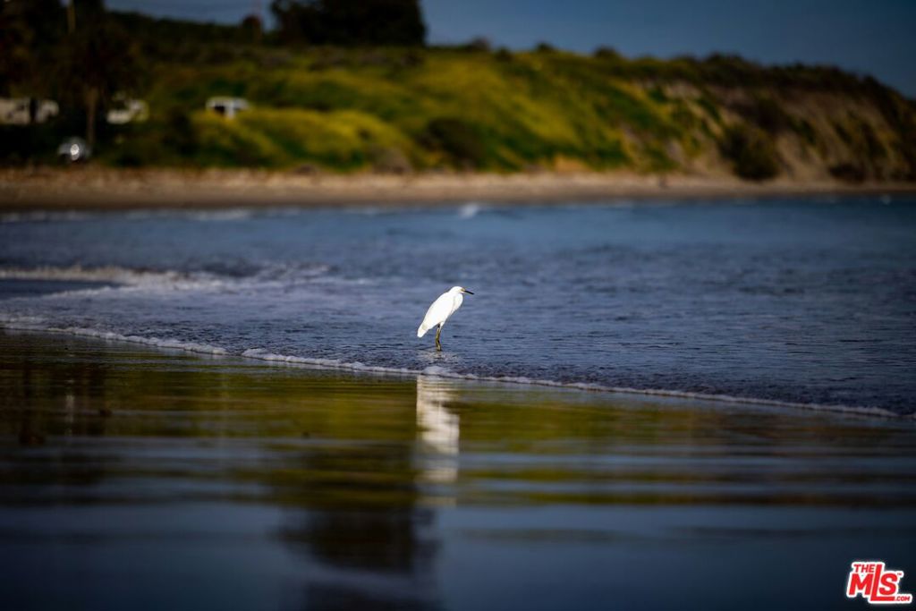https://media.crmls.org/mediaz/dfba661f-1c73-4a26-ac7a-3c51a1032197.jpg?preset=X-Large
