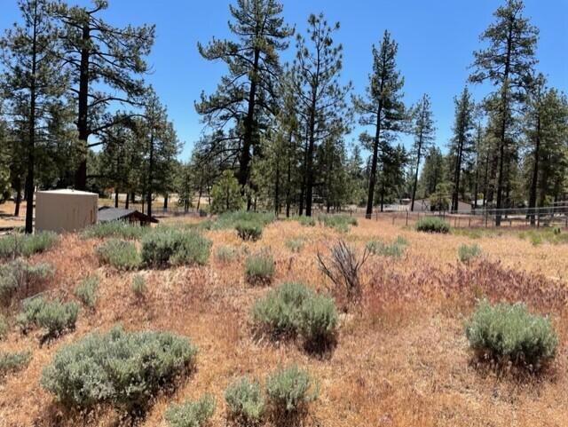 Image 6 of 8 For 59777 Ca-74