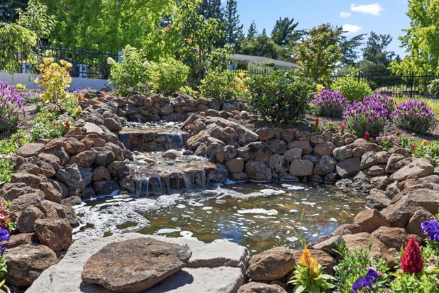 785 Pullman Road, Hillsborough CA: https://media.crmls.org/mediaz/dfcfeb9d-5a88-45d5-9fbd-09d5d4e50a11.jpg
