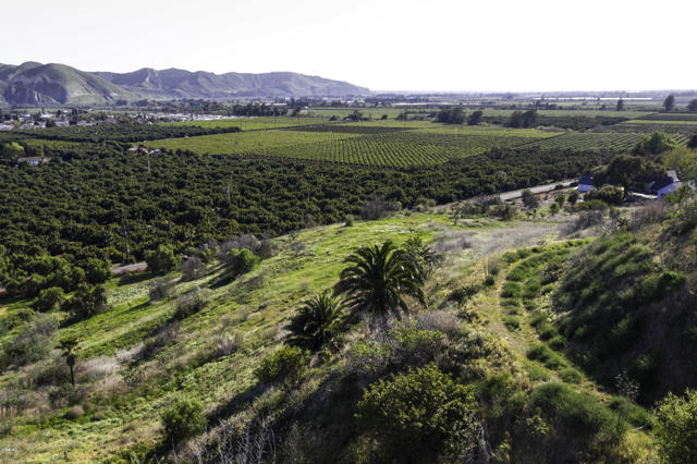 0 Peck And Foothill Road, Santa Paula CA: https://media.crmls.org/mediaz/dfe200f3-9949-475f-9de0-016e502d803b.jpg
