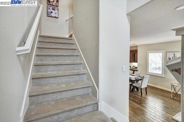 Stairs with new carpet