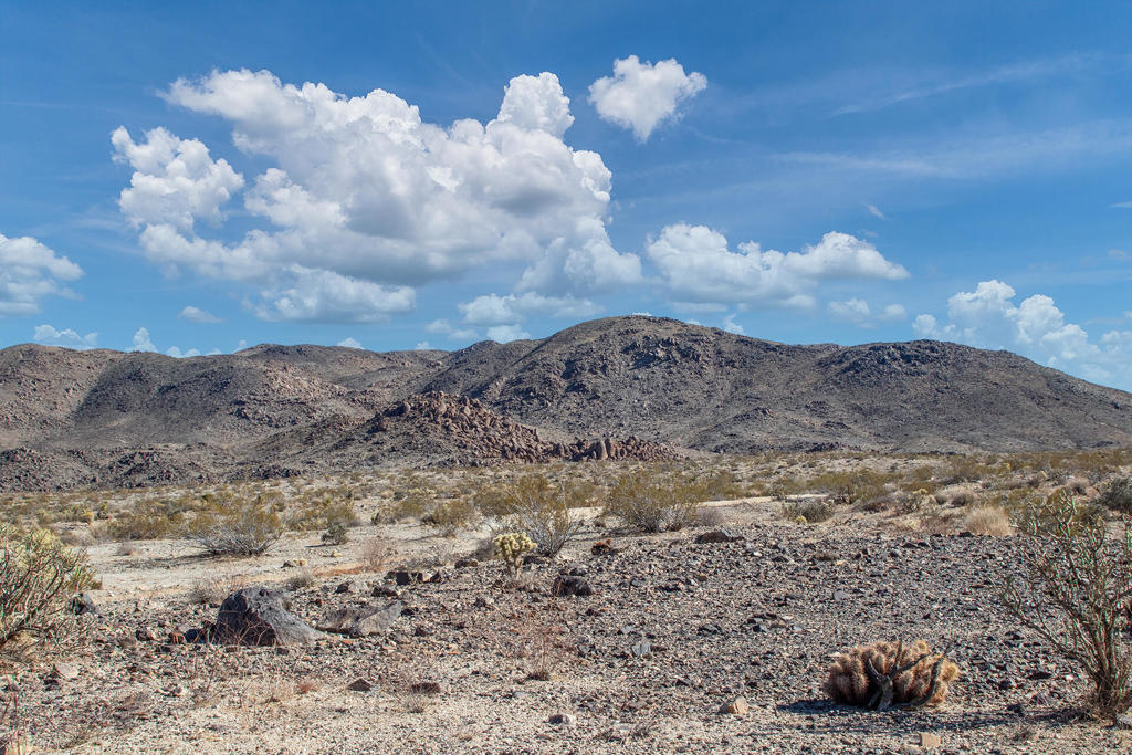 MLS #219131400PS image #26