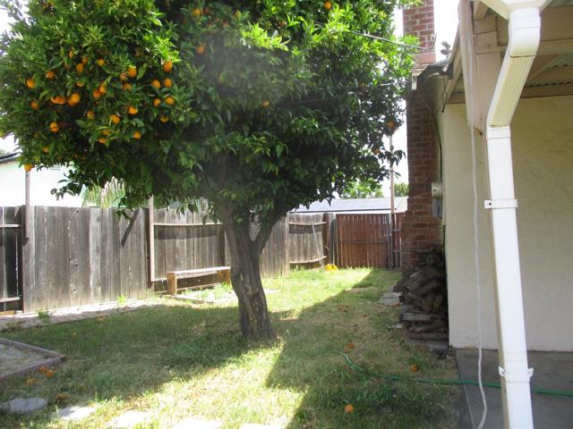 8401 La Alondra Way, Gilroy CA: https://media.crmls.org/mediaz/dff3f094-188e-476b-9126-dd731a41b5dd.jpg