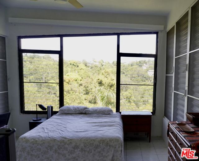 View From Unit