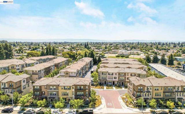 Image 42 of 47 For 102 Fanuncio Ln