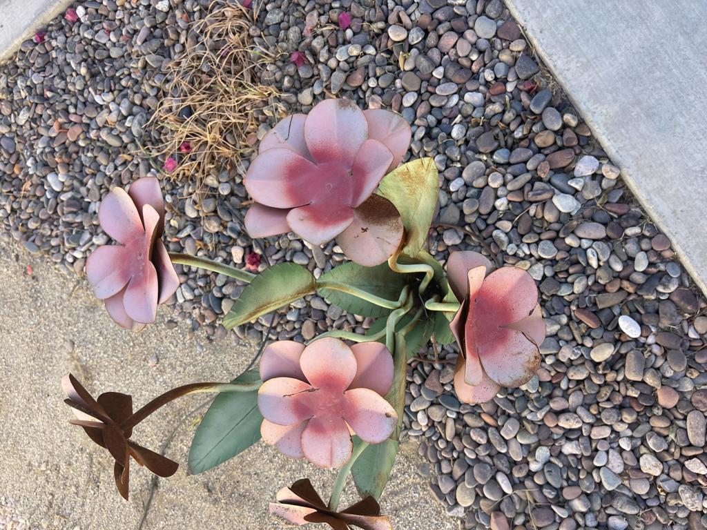 MLS #219132776DA image #9