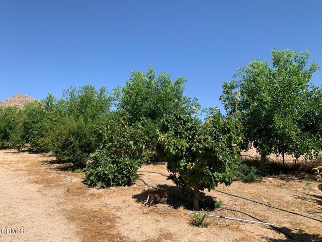 Detail Gallery Image 49 of 49 For 31212 Rabbit Springs Rd, Lucerne Valley,  CA 92356 - 3 Beds | 2 Baths