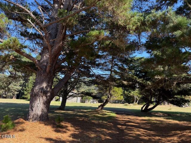 Detail Gallery Image 40 of 40 For 9001 N Highway 1, Mendocino,  CA 95460 - 2 Beds | 3/1 Baths