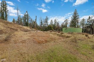 1005 Pinecrest Drive, Boulder Creek CA: https://media.crmls.org/mediaz/e02246b7-9cc1-49ab-92e7-5afc2d1ddd0a.jpg