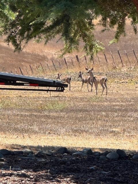 275 Nicholson Drive, Hollister CA: https://media.crmls.org/mediaz/e026f7fe-7457-4bd2-949d-9564d24985de.jpg