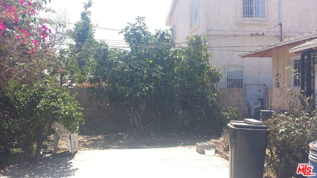 Backyard 2