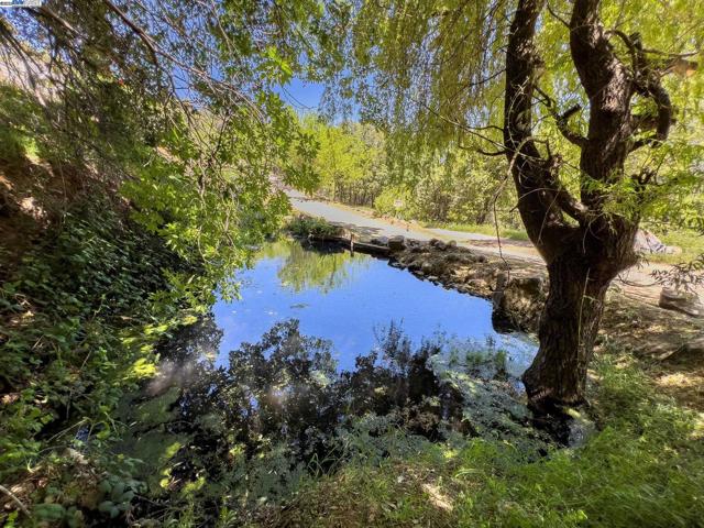 3698 Braden Road, Camino CA: https://media.crmls.org/mediaz/e02e63ec-55cf-404b-a83e-8e6b97cab94b.jpg