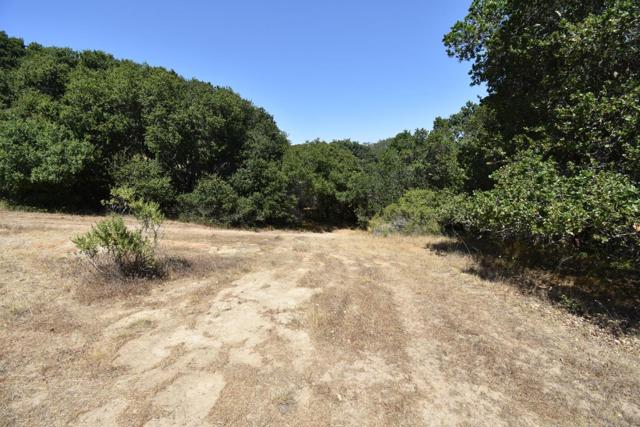 0 Alexander Lane, San Juan Bautista CA: https://media.crmls.org/mediaz/e033983a-2e2c-4b2c-a33b-05a4d00417db.jpg