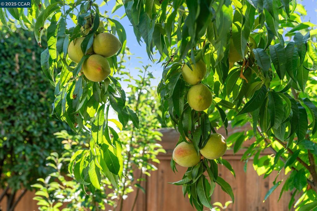 https://media.crmls.org/mediaz/e0384571-e66a-4170-9890-395dbecc690e.jpg?preset=X-Large