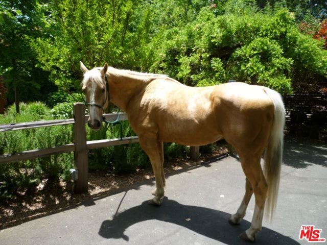 20799 Highway 128, Yorkville CA: https://media.crmls.org/mediaz/e038662c-9b09-4e60-a426-e91f1c3908f2.jpg