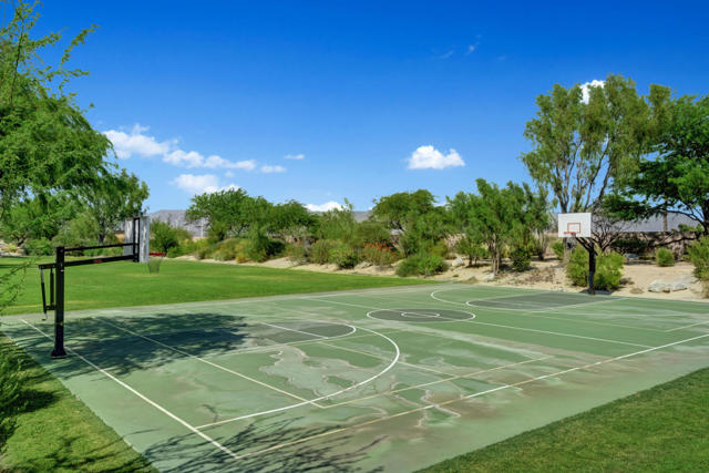 basketball court 2