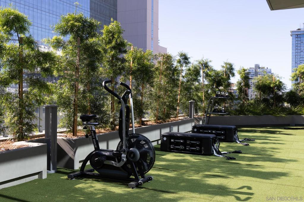 MLS #250032460SD image #11