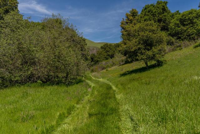 Image 9 of 37 For 100 Old Stage Road