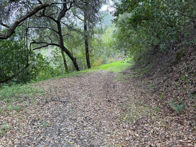 11 Little Uvas Road, Morgan Hill CA: https://media.crmls.org/mediaz/e069ddb8-10c7-4862-b8d1-cf0b1907a9d3.jpg