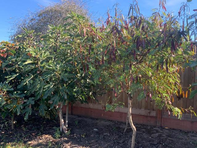 166 Afton Road, Salinas CA: https://media.crmls.org/mediaz/e06a1c99-c9dd-47eb-b3f6-9c0adc5b03a9.jpg