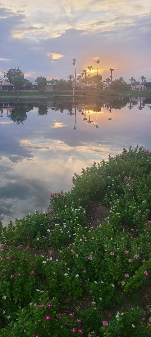 https://media.crmls.org/mediaz/e06e7a88-a618-4e00-baf3-dd09f359a6a7.jpg?preset=X-Large