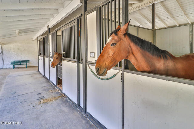 qEquestrian Center5