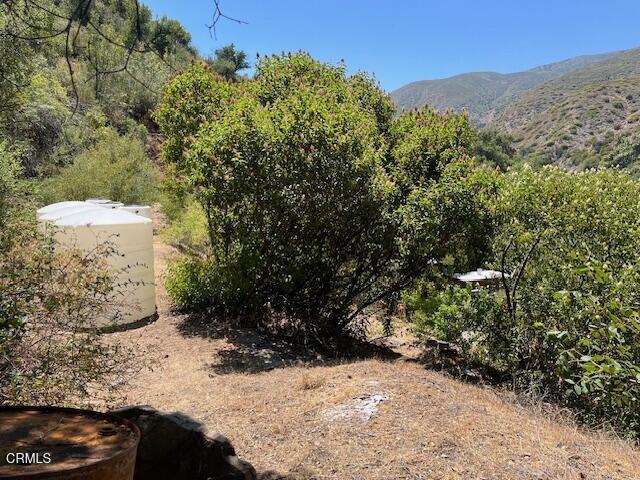 Detail Gallery Image 6 of 23 For 16840 Maricopa Hwy, Ojai,  CA 93023 - – Beds | – Baths