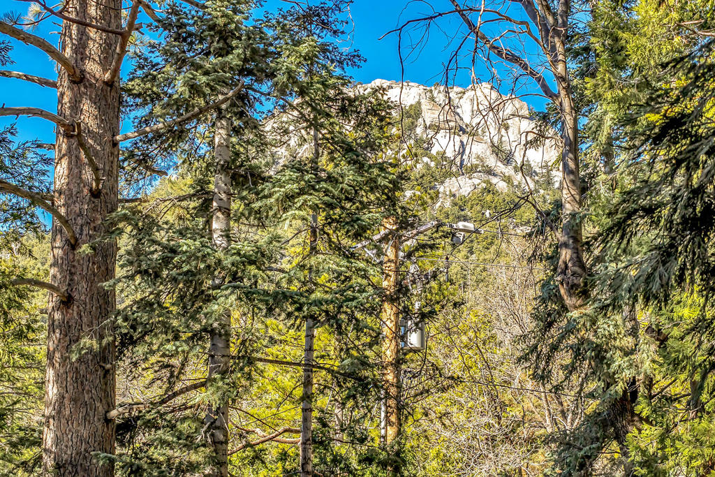 https://media.crmls.org/mediaz/e0788310-2581-41c2-a85d-985303d04240.jpg?preset=X-Large