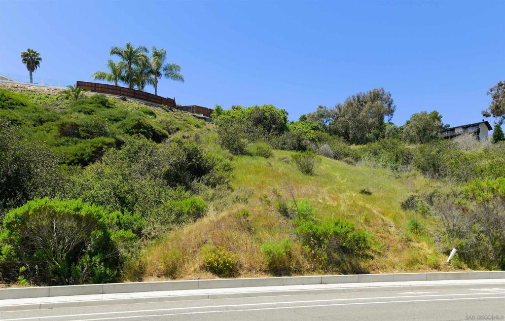 El Camino Real Carlsbad - photo 11