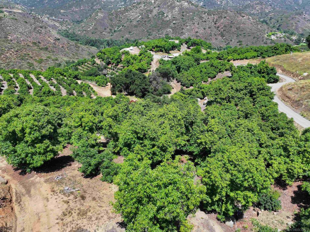 2682 Canyon Crest Dr. - photo 6