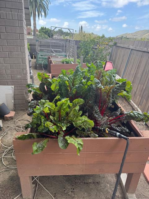 12710 Montauk St, Poway CA: https://media.crmls.org/mediaz/e08618c8-dd18-4c7c-bdec-be497c9f6b90.jpg