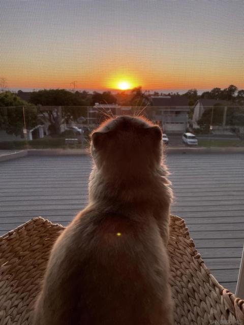 1711 Burgundy Rd., Encinitas CA: https://media.crmls.org/mediaz/e08645db-b610-4879-b437-ad0640309dab.jpg