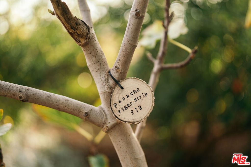 https://media.crmls.org/mediaz/e092b8af-4bd5-434f-8923-cd7db9f9ad12.jpg?preset=X-Large