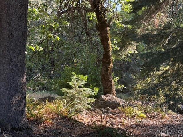 Detail Gallery Image 65 of 75 For 3413 Fern Meadow Rd, Palomar Mountain,  CA 92060 - 3 Beds | 3/1 Baths