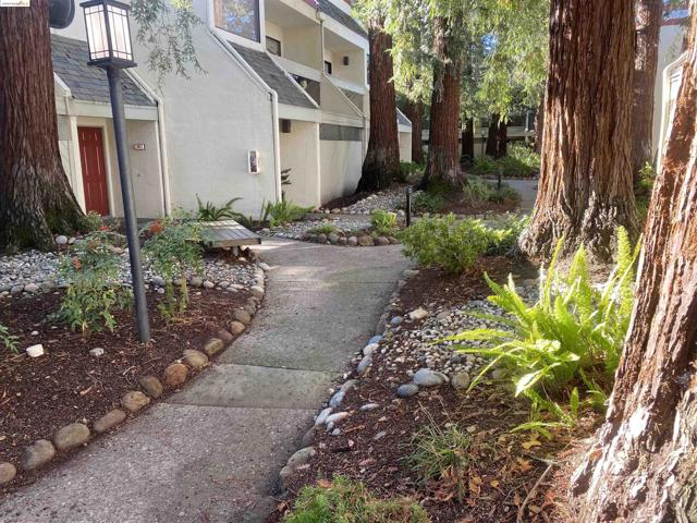 190 Cleaveland Rd, Pleasant Hill CA: https://media.crmls.org/mediaz/e0a1e4af-ec64-4596-a628-365551a20659.jpg