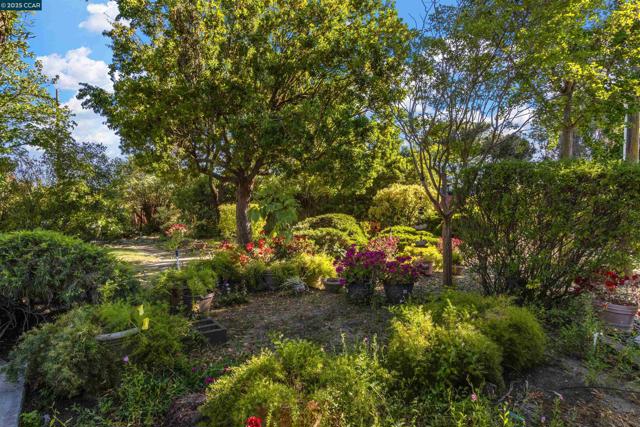 5435 Box R Ranch Rd, Vacaville CA: https://media.crmls.org/mediaz/e0cc3279-a666-471a-b090-5c13dc2ee75e.jpg
