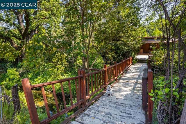 216 Castle Glen Rd, Walnut Creek CA: https://media.crmls.org/mediaz/e0d3ebfd-cef9-4457-9fc8-ebeeaa696d1d.jpg