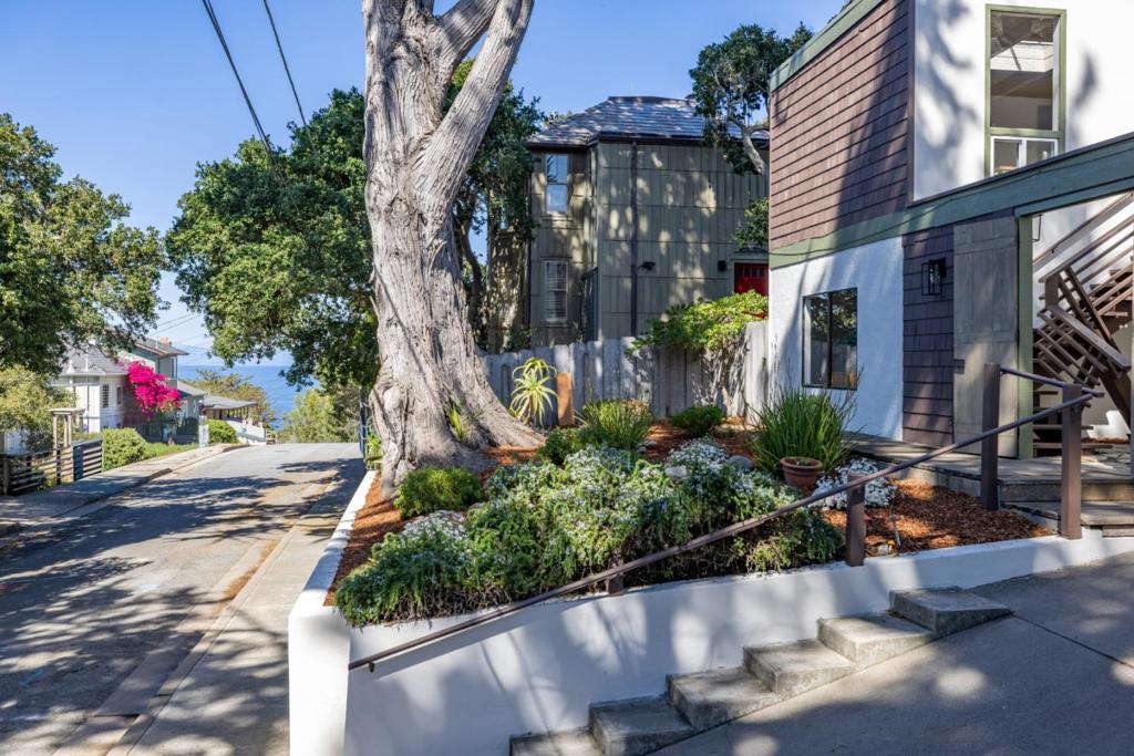 MLS #ML82020825 image #39