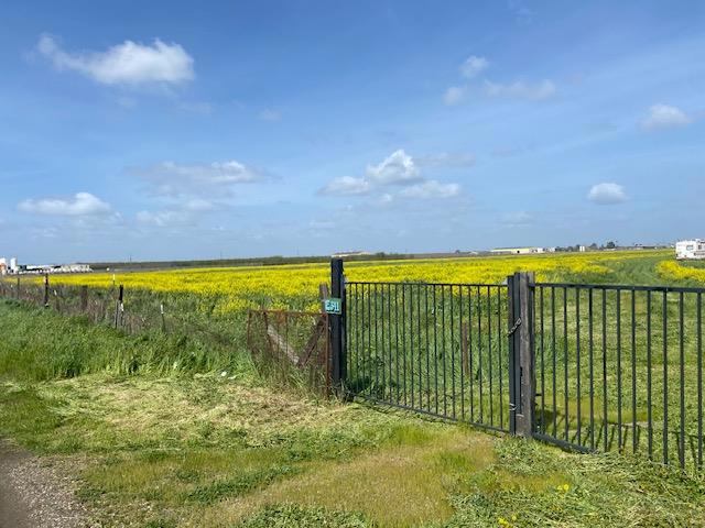 341 Reilly Road, Merced CA: https://media.crmls.org/mediaz/e0ee7808-da79-4b44-a140-4f876ad2c4d9.jpg